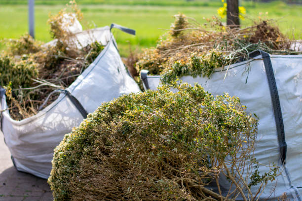 Best Office Junk Removal  in Lexington, VA