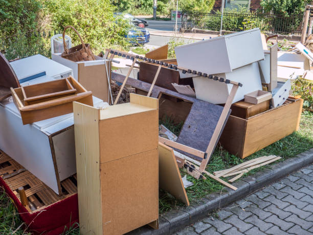 Best Professional Junk Removal  in Lexington, VA